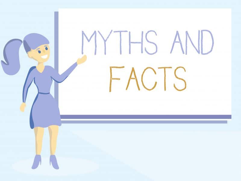 Myths and facts board